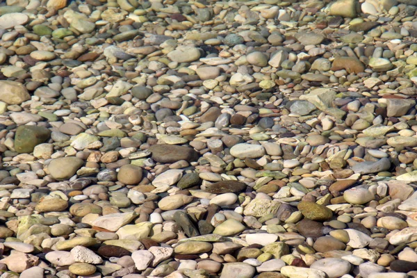 River pebbles in flowing water