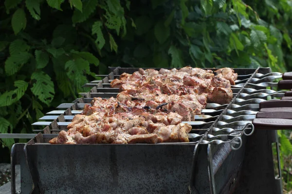 Schaschlik Shish Kebab Stekt Grillen — Stockfoto