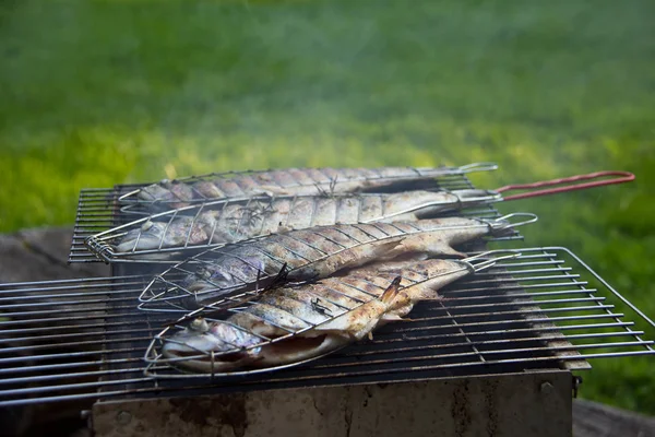 魚の加工 魚をきれいにします 屋外での魚の加工 — ストック写真