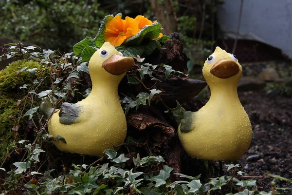 花园鸭子形式的装饰 — 图库照片