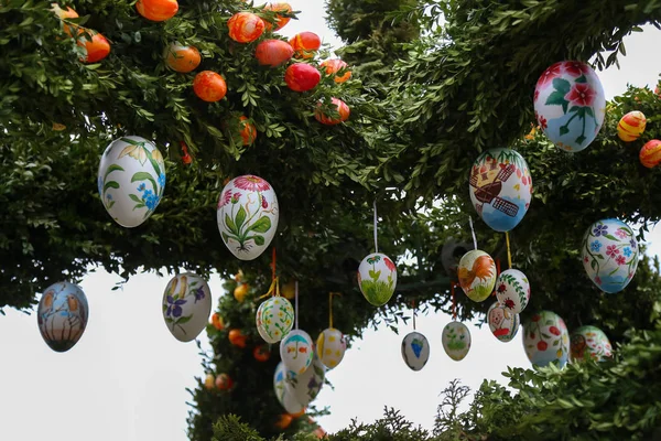 Renkli Yumurtalarla Süslenmiş Dallar Paskalya Konsepti — Stok fotoğraf