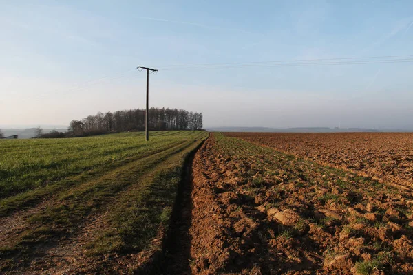 Nádherná Krajinná Krajina Poli Stromy — Stock fotografie