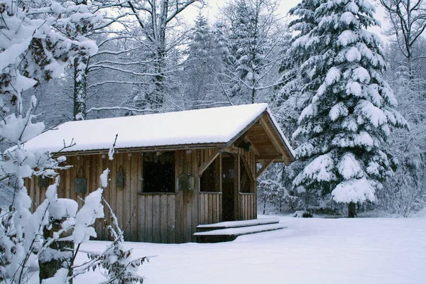 Winter Landscape Winter Woods — Stock Photo, Image