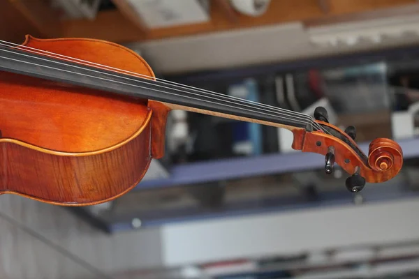 Instrumenty Muzyczne Wiolonczelę Szczegóły — Zdjęcie stockowe