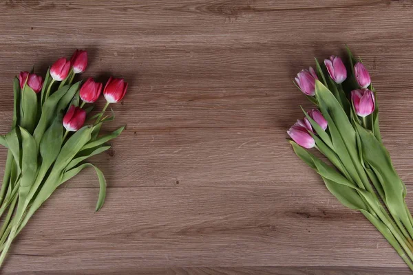 Vista Dall Alto Bei Tulipani Fioriti — Foto Stock
