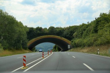 Hayvanlar için otoyol üzerinde Otoyol / Köprü