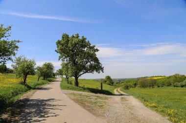 Güzel peyzaj ile sakin kırsal 