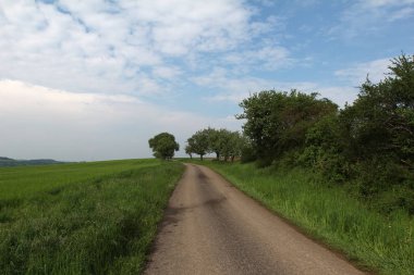 Kırsal arazide yol açan yol 