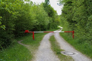 Yaz Manzara / Ormanda kapalı kapı