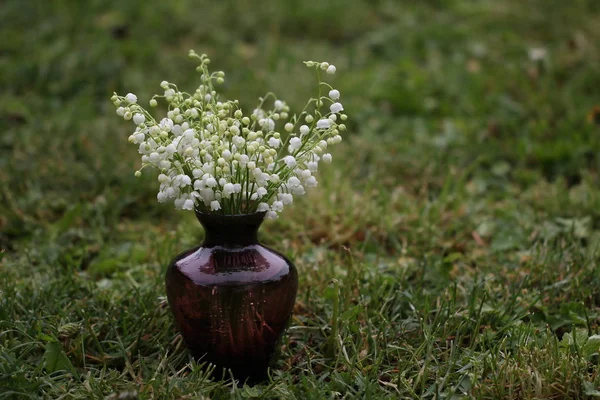 Vaso Com Belas Flores Frescas — Fotografia de Stock