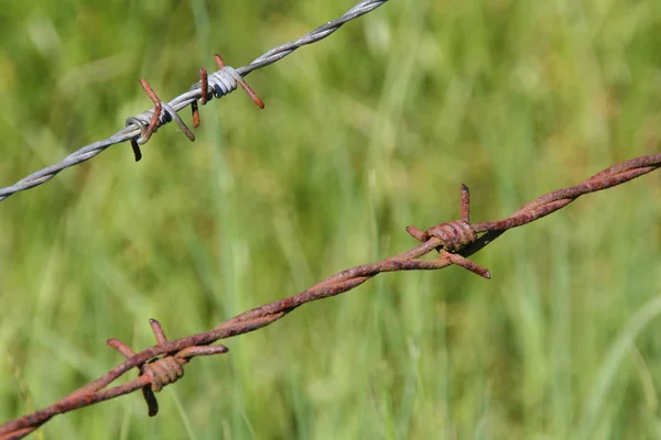 Selective focus of rusted metal wire