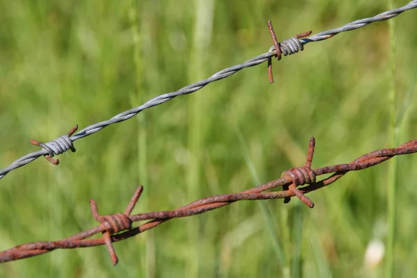 Selective focus of rusted metal wire
