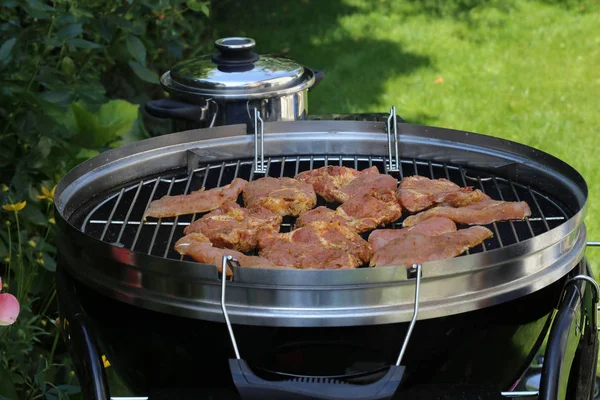 Grill Med Picklad Biffar Utomhus — Stockfoto