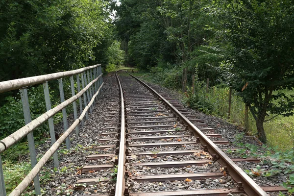 森の中の古い鉄道 — ストック写真