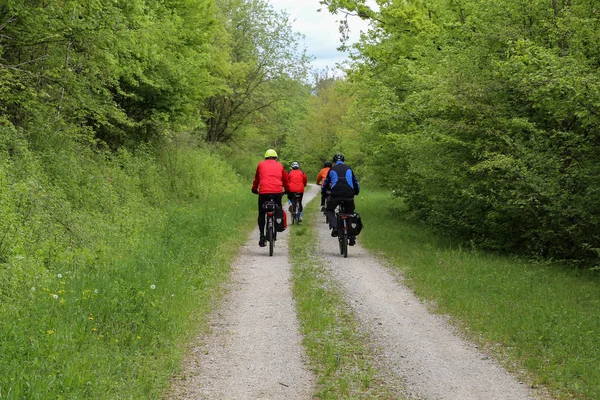 Summer Landscape /Bike tours in the spring forest