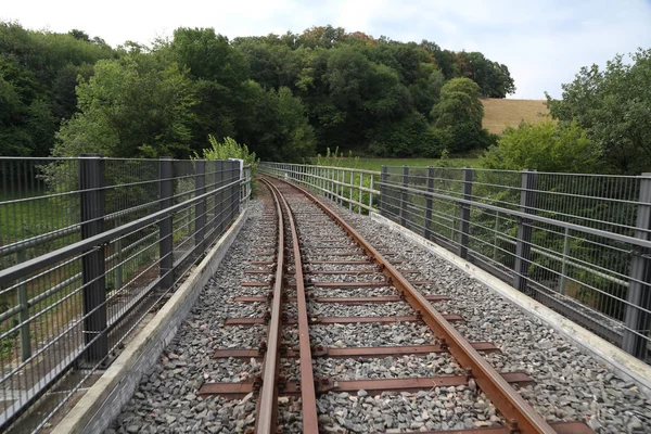 Gyönyörű Fehér Hattyú Vízen — Stock Fotó