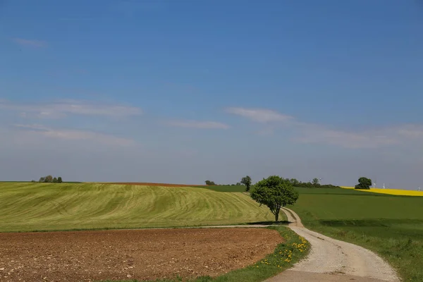 Spokojna Okolica Pięknym Krajobrazem — Zdjęcie stockowe