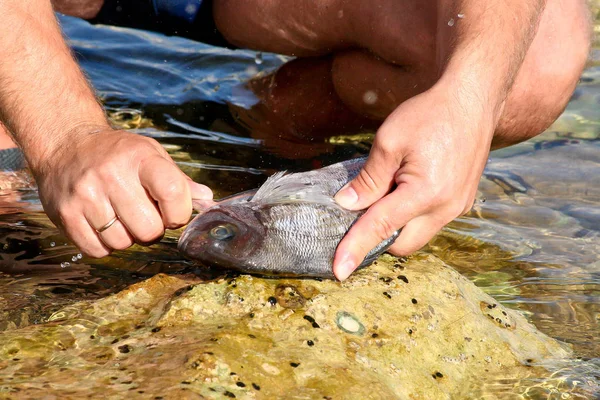 Homem Descascando Peixe — Fotografia de Stock