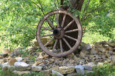 Bahçedeki eski ahşap tekerlek