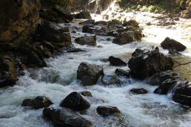 Güzel dağ nehri manzarası