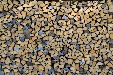 Ormanın kenarında woodpile