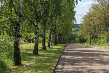 Güzel sakin kırsal manzara 