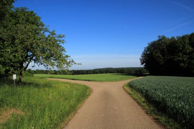 Güzel sakin kırsal manzara 