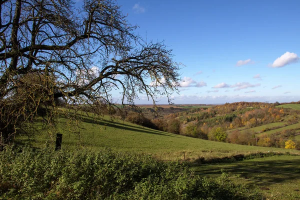 Schöne Ruhige Ländliche Landschaft — Stockfoto