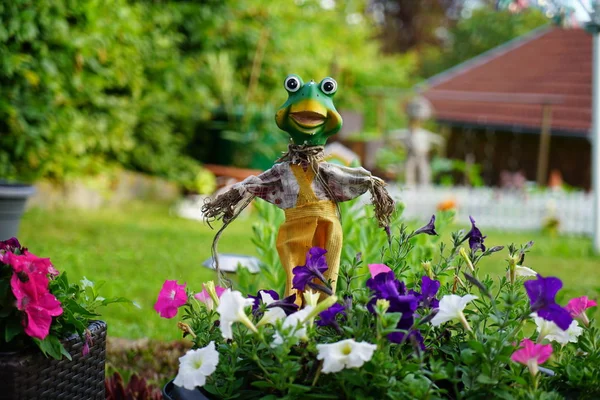 Selectieve Focus Van Decoratieve Kikker Buurt Van Bloemen — Stockfoto