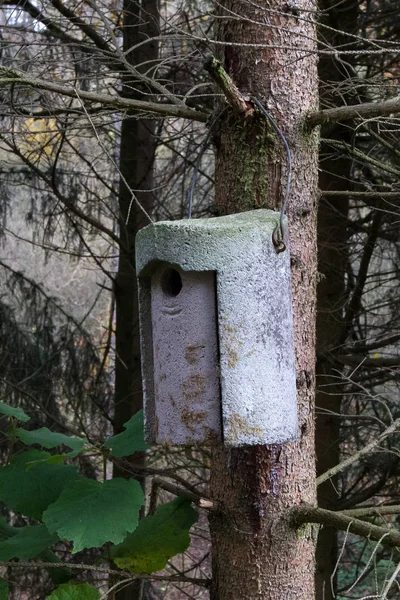 Παλιό Ξύλινο Κλουβί Πουλιών Ψηλά Ένα Δέντρο — Φωτογραφία Αρχείου