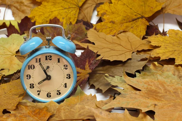 秋の静物 アラーム時計と紅葉 — ストック写真