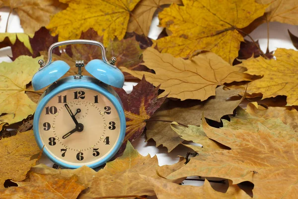 Bodegón Otoño Reloj Despertador Hojas Otoño —  Fotos de Stock