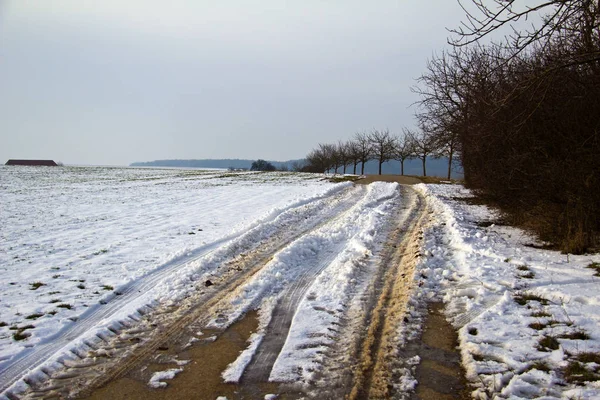 Зимний Сельский Пейзаж Полем — стоковое фото