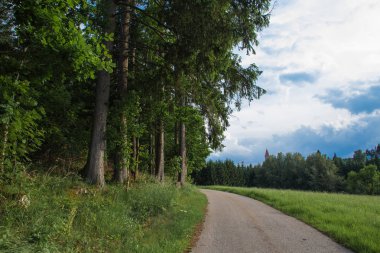 Güzel sakin kırsal manzara 