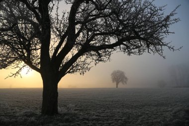 Kırsal alan üzerinde dramatik günbatımı gökyüzü 