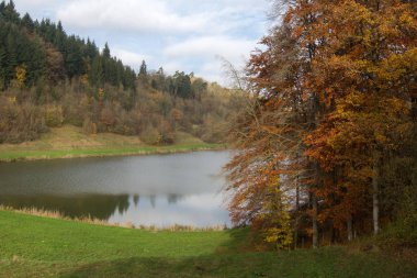 Etrafında ağaçlar ile Sonbahar gölü