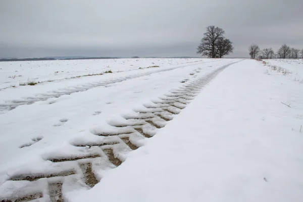 Зимний Сельский Пейзаж Полем — стоковое фото