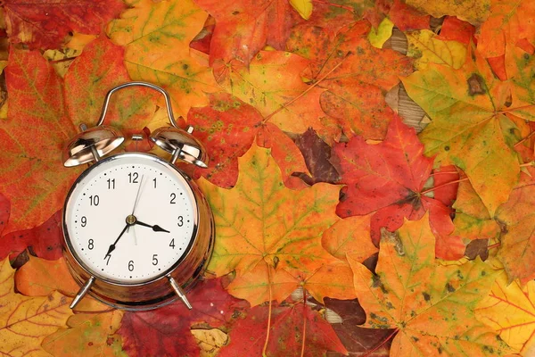 Podzimní Zátiší Alarm Clock Podzimní Listí — Stock fotografie
