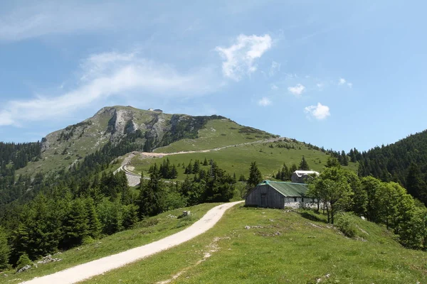 Нагір Сільської Сцени Зеленим Лугом — стокове фото