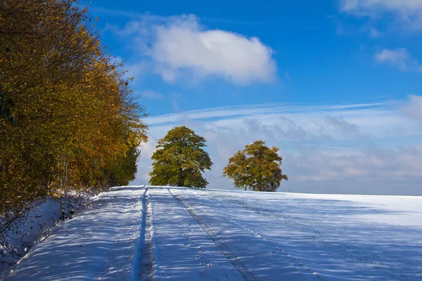 Snowy Pole Drzewami Pod Błękitnym Niebem — Zdjęcie stockowe