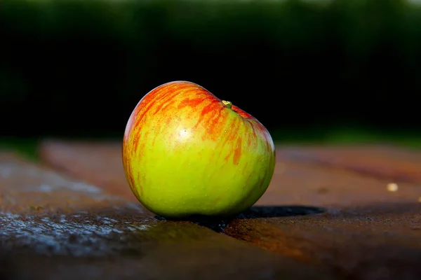 Bodegón Composición Con Una Manzana — Foto de Stock