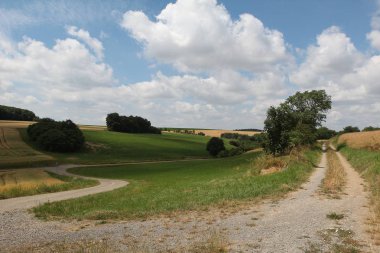 Güzel alan ve ağaçlar ile kırsal sahne 