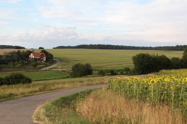 Sakin kırsal manzara köy 