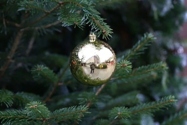 Christbaumkugel Baum — Stockfoto