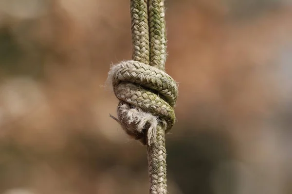 Cuerda Rama Del Árbol — Foto de Stock