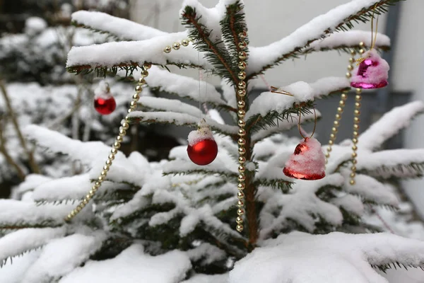 Christbaumkugeln Auf Ästen — Stockfoto