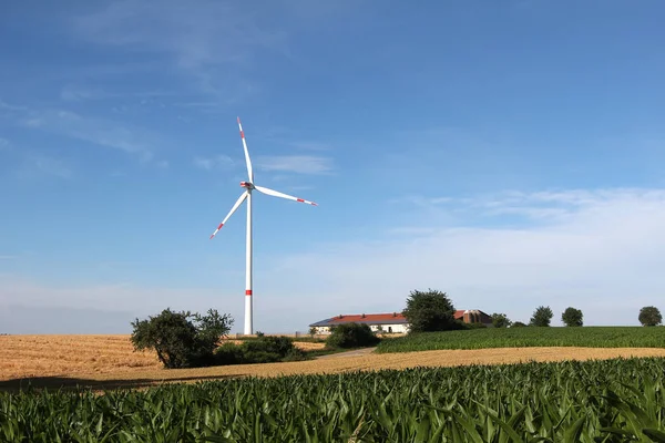 屋外で牧草地に立つ風車 — ストック写真