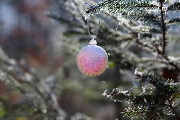 Χριστουγεννιάτικα Στολίδια Κλαδιά Δέντρων — Φωτογραφία Αρχείου