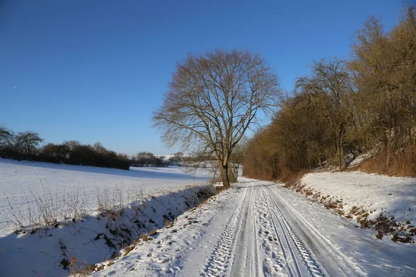 Paesaggio Rurale Invernale Con Campo — Foto Stock