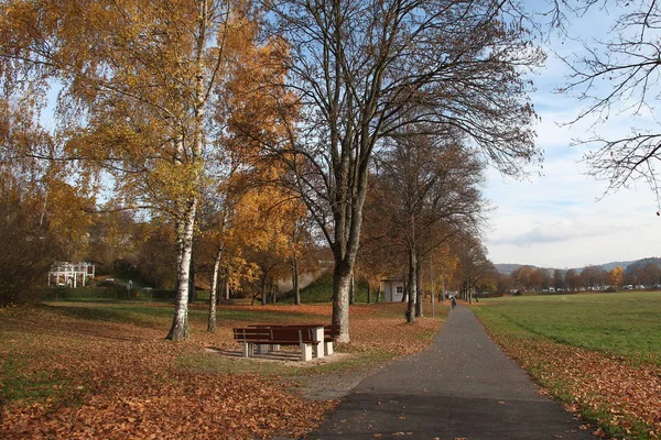 Осенний Парк Деревьями Опавшими Листьями — стоковое фото